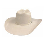 Bullhide PBR Outlaw - (8X) Fur Felt Cowboy Hat - Hatcountry