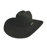 Bullhide PBR Outlaw - (8X) Fur Felt Cowboy Hat - Hatcountry