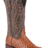 Stetson Ozzy (Brown) - Men's Ostrich Cowboy Boot
