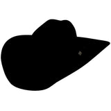Larry Mahan's Go Round - (4X) Fur Felt Cowboy Hat