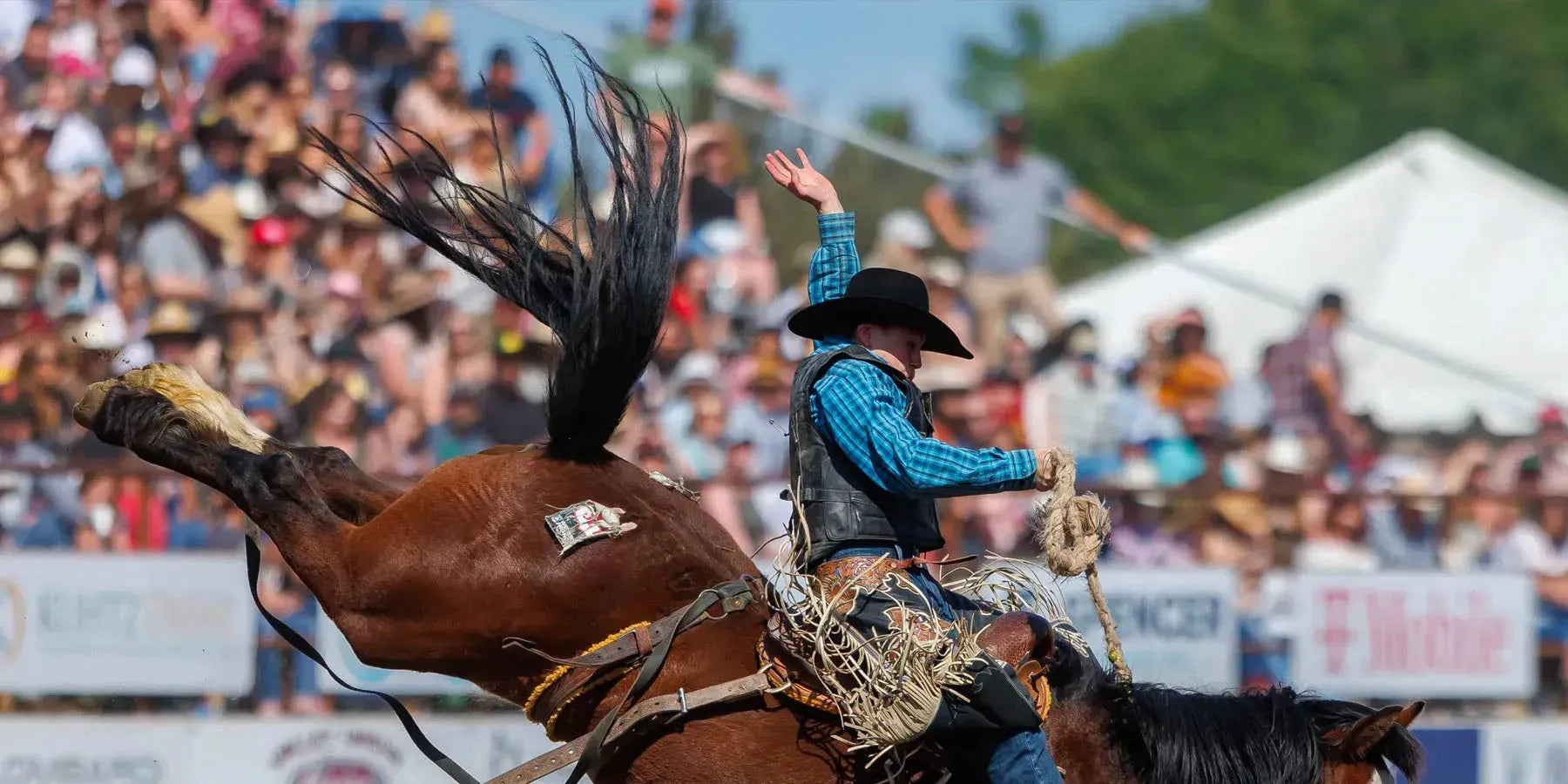 Resistol Hats - Hatcountry