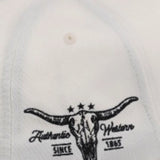 Stetson Desert Scene (Black) - Trucker Cap