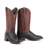 Stetson Dillon (Brown/Black) - Men's Ostrich Cowboy Boot
