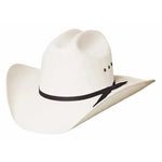 Bullhide Buffalo - (10X) Straw Cowboy Hat - Hatcountry