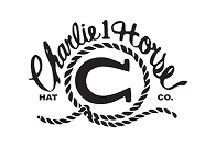 Charlie 1 Horse