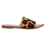 Dingo Tabby - Women's Sandals