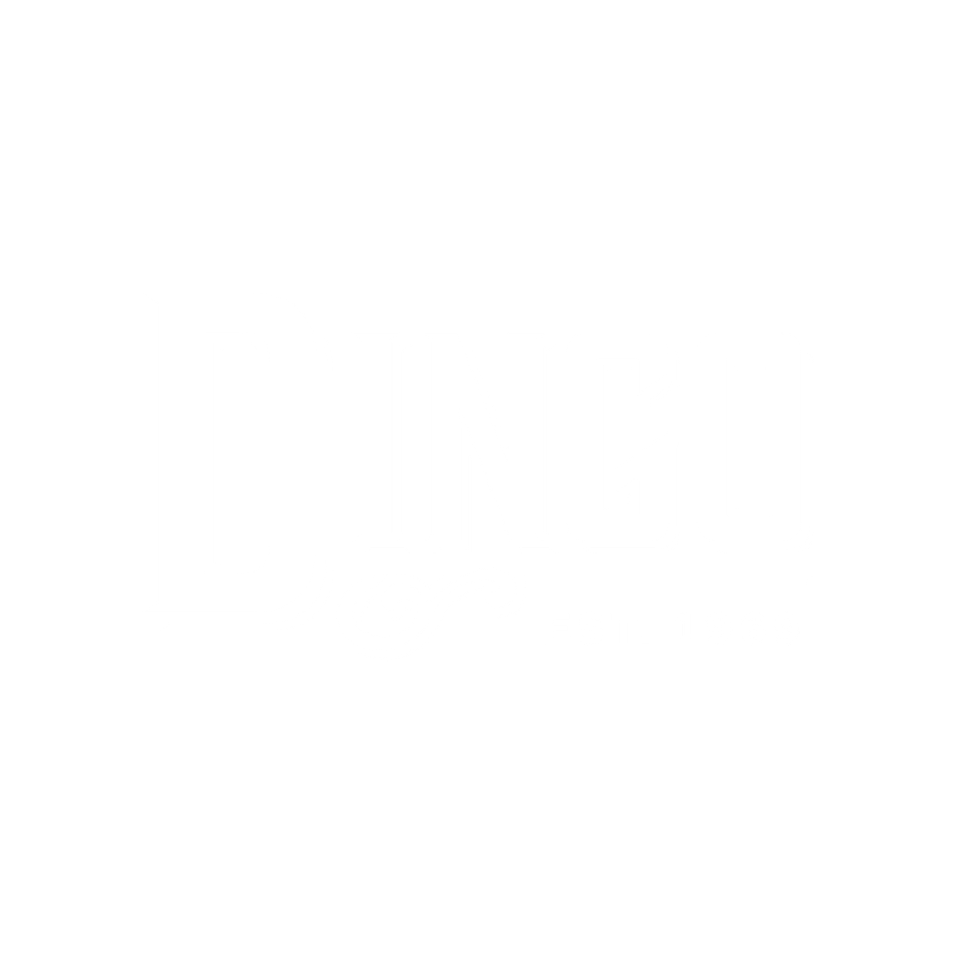 About Dingo Boots