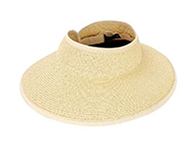 Visors